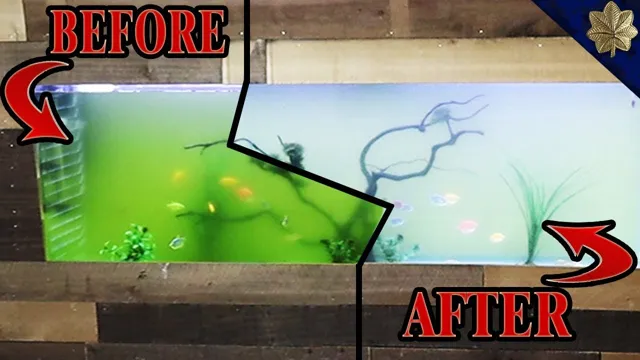 how to clear a green aquarium