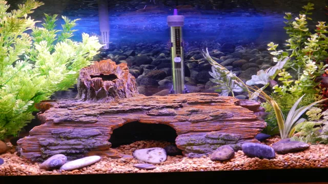 how to clear aquarium water from driftwood