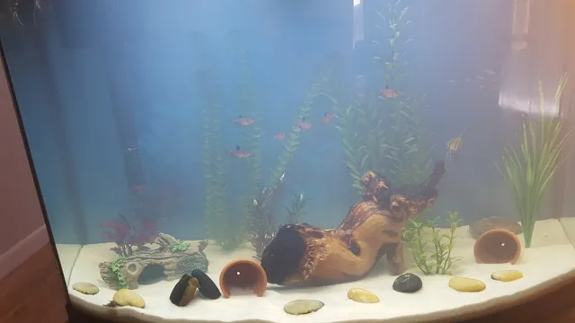 how to clear cloudy aquarium water from sand