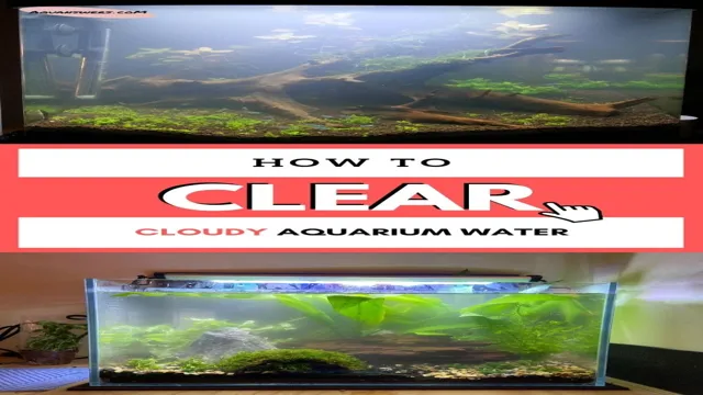 How to Clear Green Cloudy Aquarium Water: Best Solutions and Tips