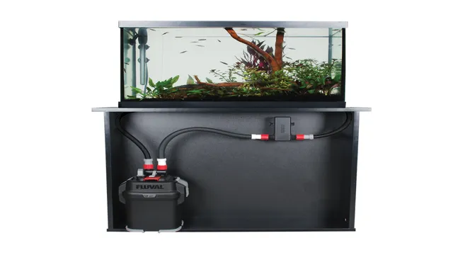 How to Clear Green Water in Freshwater Aquarium: Expert Tips and Tricks