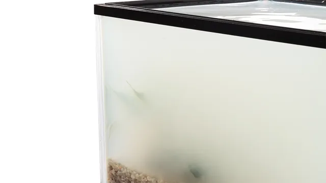 how to clear milkey white aquarium water