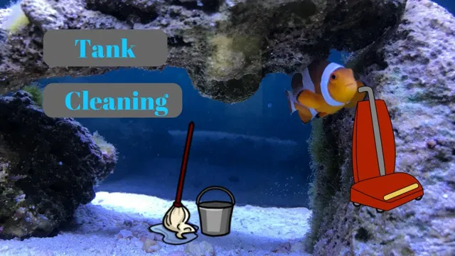 how to clear saltwater aquarium water