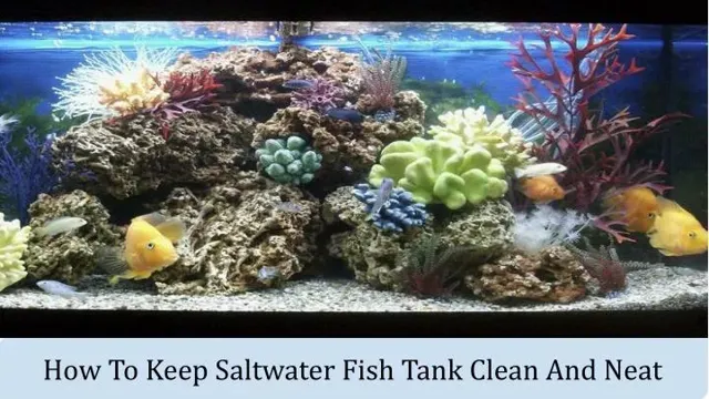 How to Clear Saltwater Aquarium Water: 7 Proven Methods