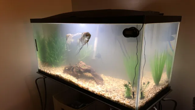 how to clear up cloudy aquarium