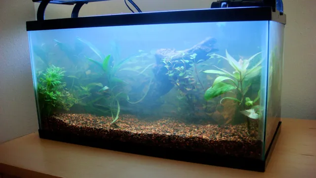 how to clear up cloudy water in aquarium