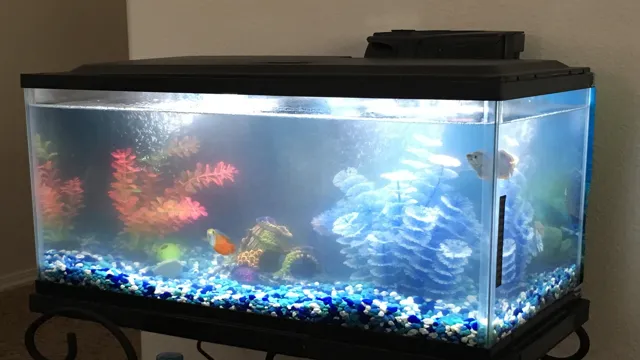 how to clear water aquarium