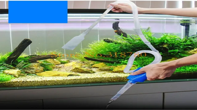 how to clear water out of aquarium with siphon