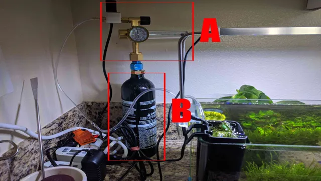 How to CO2 Setup Aquarium: A Step-by-Step Guide to Boost Plant Growth