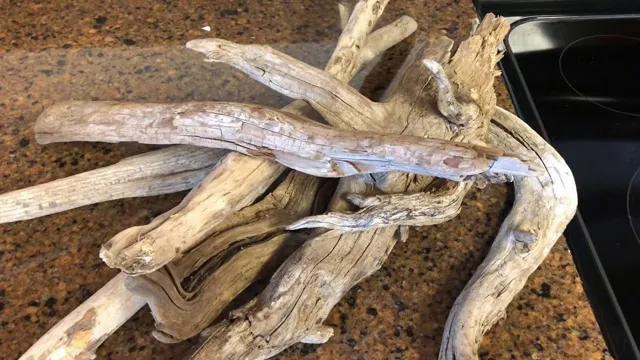 how to collect driftwood for aquarium