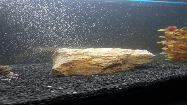 how to collect rocks for aquarium
