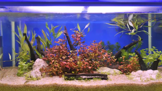 how to color aquarium gravel