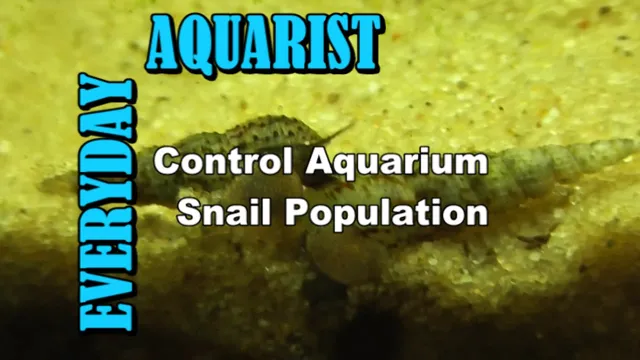 how to control snail population in aquarium