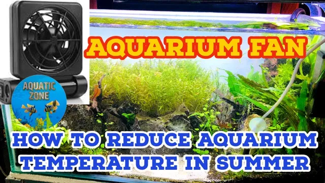 How to Control Temperature in Aquarium: Tips and Techniques for Beginners