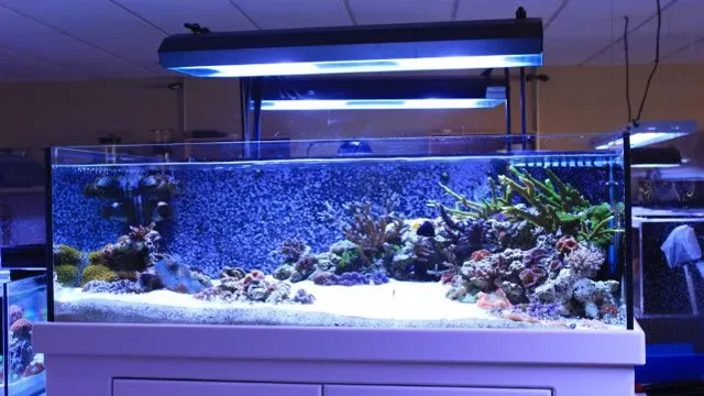 how to conver an aquarium into a rimless