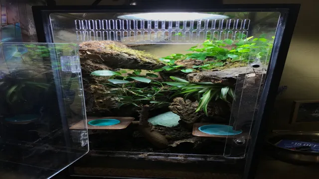 how to convert an aquarium into a crested gecko terrarium