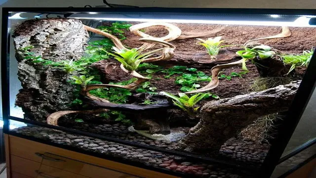 how to convert an aquarium into a crested gecko terrarium