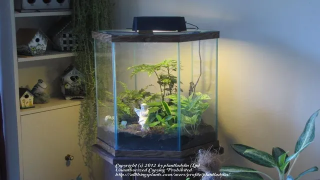 How to Convert an Aquarium into a Terrarium: A Step-by-Step Guide