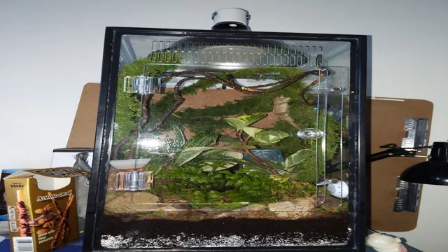 how to convert an aquarium to a vivarium