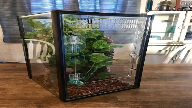 How to Convert an Aquarium to a Vivarium in 5 Simple Steps: Tips and Tricks