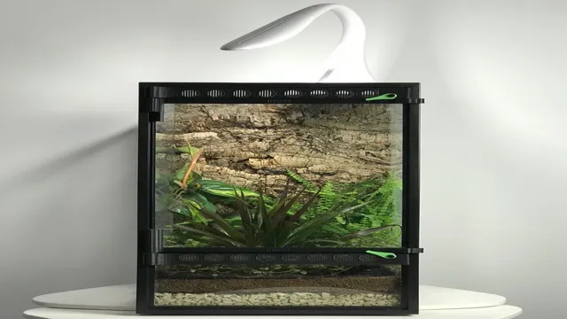 how to convert an aquarium to a vivarium