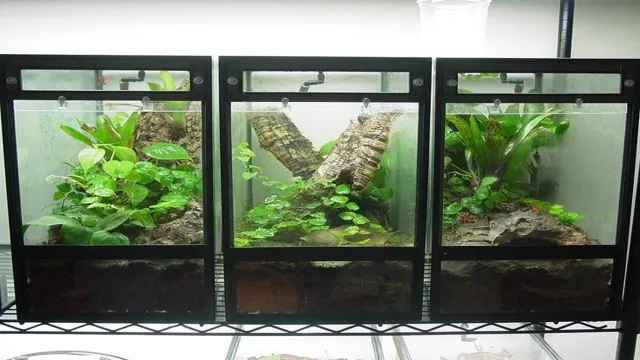 How to Convert an Aquarium to a Vivarium: Tips for Creating a Perfect Habitat