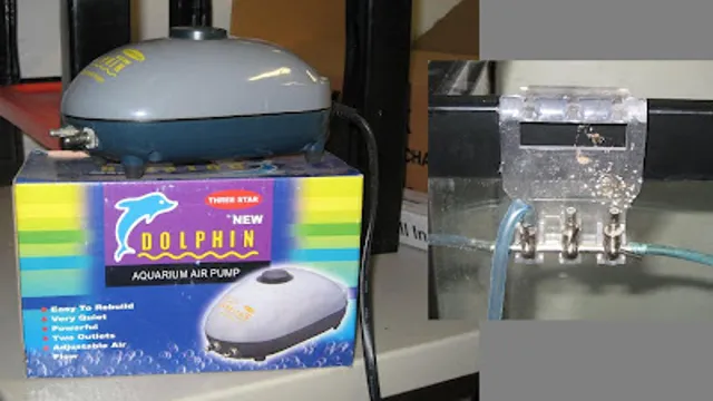 How to Convert Aquarium Air Pump to Vacuum: A Step-by-Step Guide