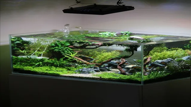 How to Convert Aquarium into Planted Aquarium: A Step-by-Step Guide