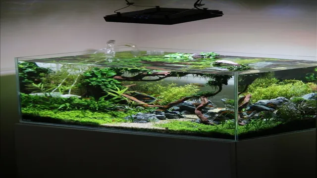 how to convert aquarium into planted aquarium