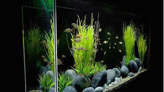 How to Convert Aquarium into Planted Aquarium: A Step-by-Step Guide to Creating a Thriving Underwater Garden