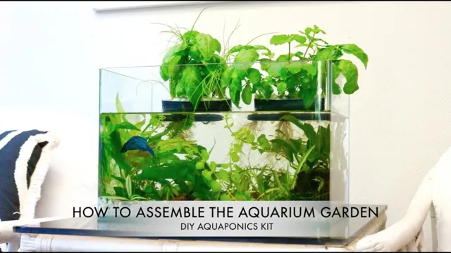 how to convert aquarium to aquaponics 2