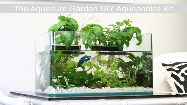 How to Convert Aquarium to Aquaponics: Step-by-Step Guide for Beginners