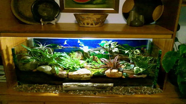 how to convert aquarium to terrarium