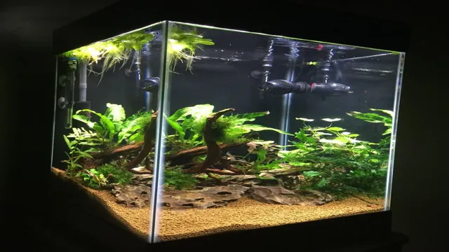 How to Convert Aqueon 15 Gallon Column Aquarium to Saltwater: A Step-by-Step Guide