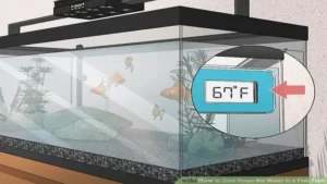 how to cool down a fish aquarium