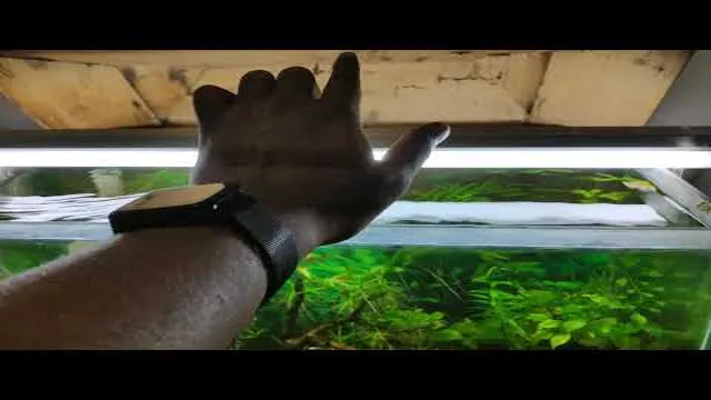 how to cool down aquarium temperature