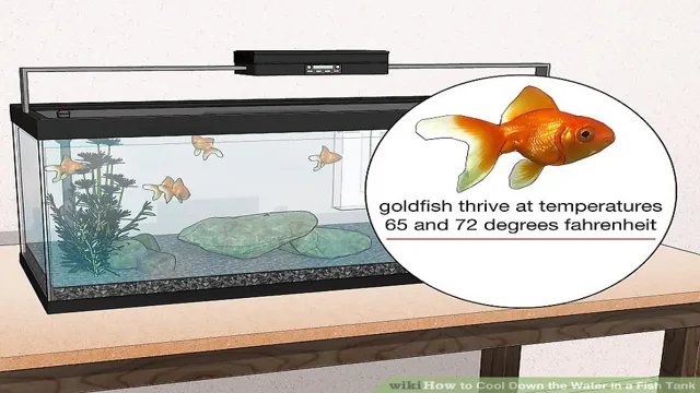 how to cool down aquarium water in summer