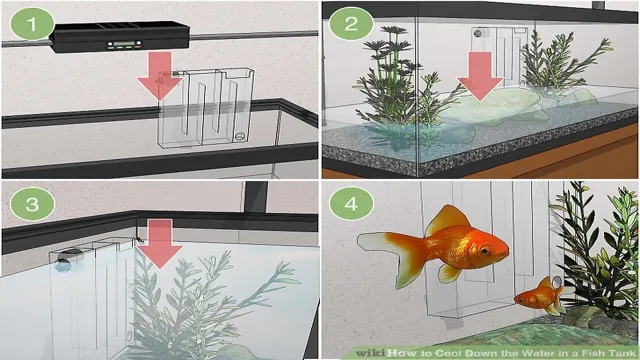 How to Cool Down My Aquarium: Tips for Keeping Your Fish Tank at the Right Temperature