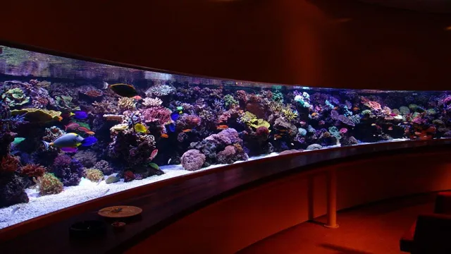 how to cool down my saltwater aquarium