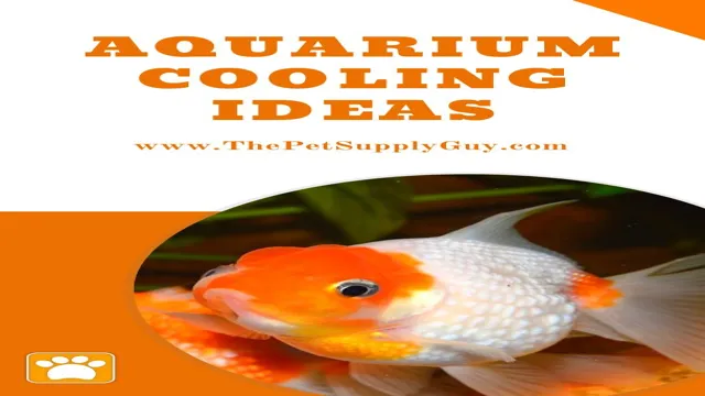 how to cool down saltwater aquarium water temperature