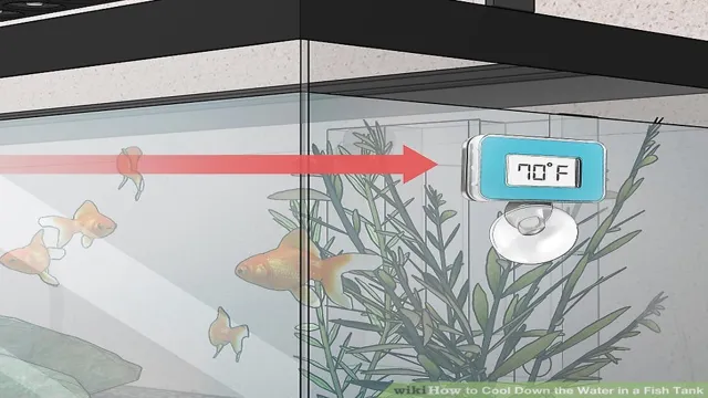 how to cool down your aquarium