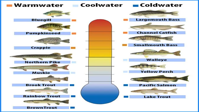 how to cool water temperature in aquarium