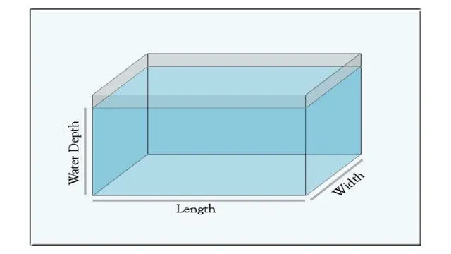 How to Count Aquarium Gallons: A Step-by-Step Guide for Beginners