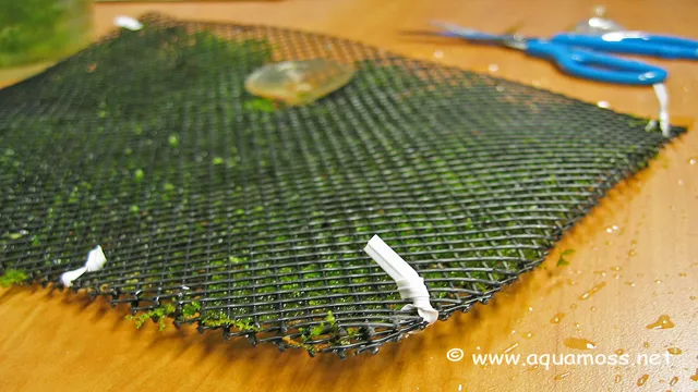 how to creat mesh moss for aquarium
