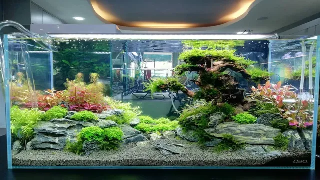 How to Create a Beautiful Freshwater Aquarium: Tips and Tricks.