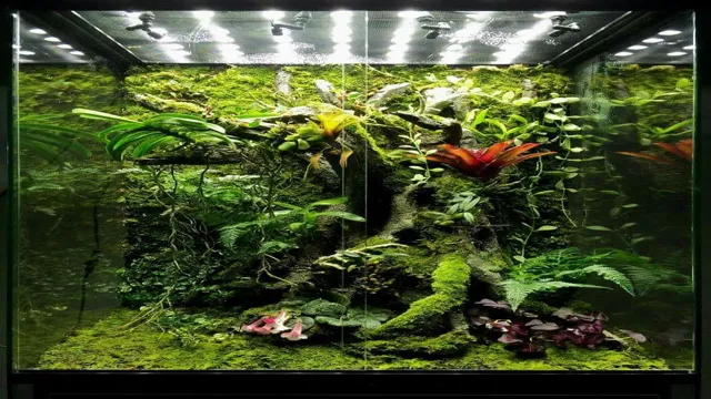 How to Create a Bioactive Aquarium: Tips and Tricks for a Thriving Underwater Ecosystem