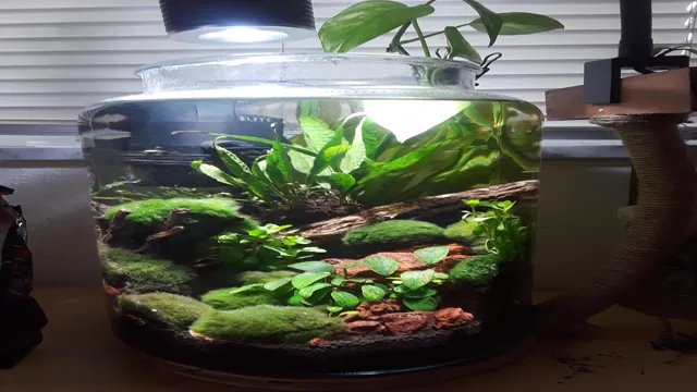 how to create a mini aquarium
