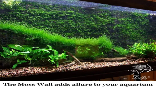 how to create a moss wall in an aquarium