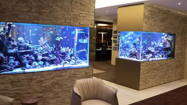 how to create a neat looking aquarium