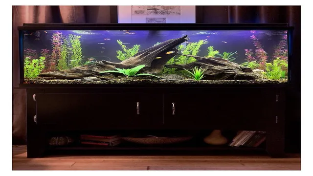 how to create a neat looking aquarium